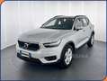 Volvo XC40 T3 Geartronic Momentum Grigio - thumbnail 3