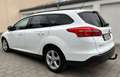 Ford Focus Turnier Business*AHK*Navi Sync*PDC*1 Hand* Weiß - thumbnail 4