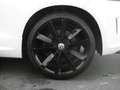 Volkswagen Scirocco R DSG 19" Leder Xenon Navi Weiß - thumbnail 18