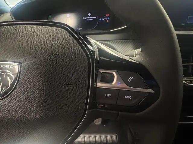 Peugeot 2008 view 14