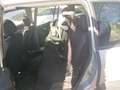 Opel Zafira Zafira 2,0 16V DTI Grau - thumbnail 9