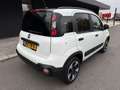 Fiat Panda 1.2 Cross // 7000km // Weiß - thumbnail 4