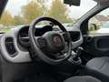 Fiat Panda 1.2 Cross // 7000km // Weiß - thumbnail 7