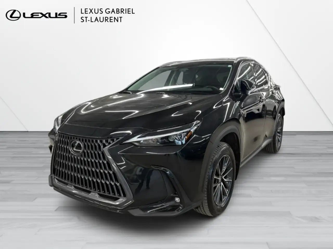 2024 Lexus NX fotografie 2024 Lexus NX