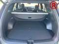 Kia Sorento Platinum 4WD 2.2 CRDi 360 Kamera HUD Bose Soundsys Gri - thumbnail 8