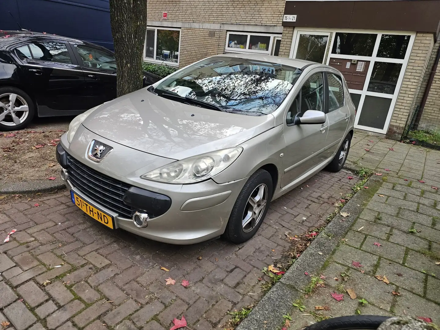 Peugeot 307 1.6-16V XS lpg g3 automaat Beige - 2