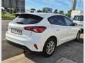 Ford Focus 1.5 Ecoblue Trend+ 120 Blanco - thumbnail 4