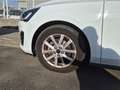 Ford Focus 1.5 Ecoblue Trend+ 120 Blanco - thumbnail 10