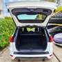 Ford Kuga 1.5 EcoB. Auto S&S ST-Line 4x2 150 Blanco - thumbnail 13