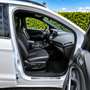 Ford Kuga 1.5 EcoB. Auto S&S ST-Line 4x2 150 Blanco - thumbnail 4