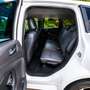 Ford Kuga 1.5 EcoB. Auto S&S ST-Line 4x2 150 Blanco - thumbnail 10