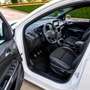 Ford Kuga 1.5 EcoB. Auto S&S ST-Line 4x2 150 Blanco - thumbnail 9