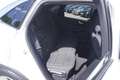 Ford Kuga 1.5 EcoBoost Totwinkel Winterpaket DAB PDC Blanc - thumbnail 20
