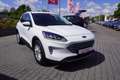 Ford Kuga 1.5 EcoBoost Totwinkel Winterpaket DAB PDC Blanc - thumbnail 5