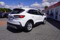 Ford Kuga 1.5 EcoBoost Totwinkel Winterpaket DAB PDC Blanc - thumbnail 4