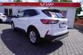 Ford Kuga 1.5 EcoBoost Totwinkel Winterpaket DAB PDC Blanc - thumbnail 2