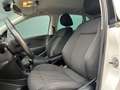 Volkswagen Polo 1.2 TSI BlueMotion Highline * Climate * Cruise * P Weiß - thumbnail 15