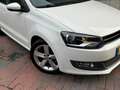 Volkswagen Polo 1.2 TSI BlueMotion Highline * Climate * Cruise * P Weiß - thumbnail 5
