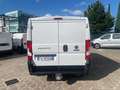 Fiat Ducato 33  2.0 MTJ 115 CV L2H1 13 Q Dopp. porta laterale Weiß - thumbnail 14