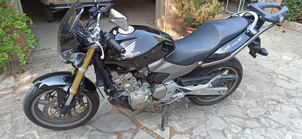 Honda Hornet