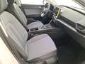 SEAT Leon 1.0 etsi business 110cv dsg Blanc - thumbnail 11