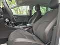 SEAT Leon Leon ST Diesel ST 2.0 TDI DPF DSG FR Blanc - thumbnail 12