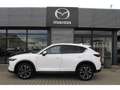 Mazda CX-5 SKYACTIV-G SOMO ADVANTAGE+360 CAM+GJ-RÄDER Weiß - thumbnail 2