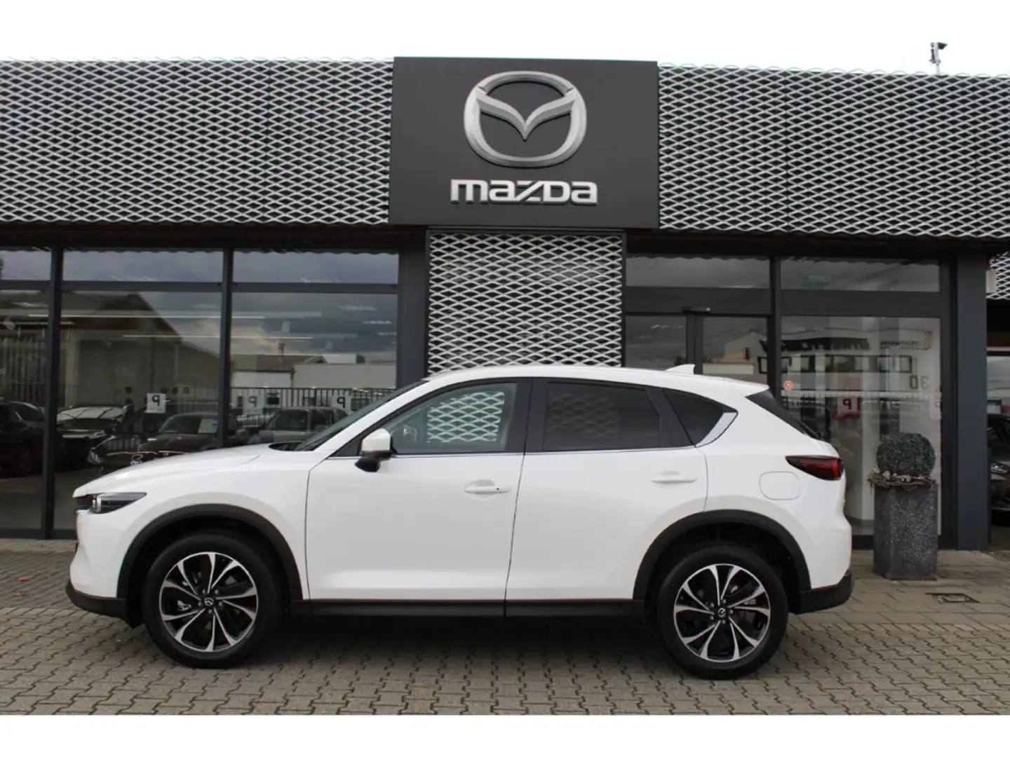 Mazda CX-5 SKYACTIV-G SOMO ADVANTAGE+360 CAM+GJ-RÄDER Weiß - 2
