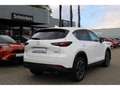 Mazda CX-5 SKYACTIV-G SOMO ADVANTAGE+360 CAM+GJ-RÄDER Weiß - thumbnail 5