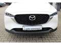 Mazda CX-5 SKYACTIV-G SOMO ADVANTAGE+360 CAM+GJ-RÄDER Weiß - thumbnail 9