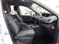 Renault Scenic III Paris*Klimaautom.,Navi,Sitzhzg.,Nr.49 Weiß - thumbnail 12