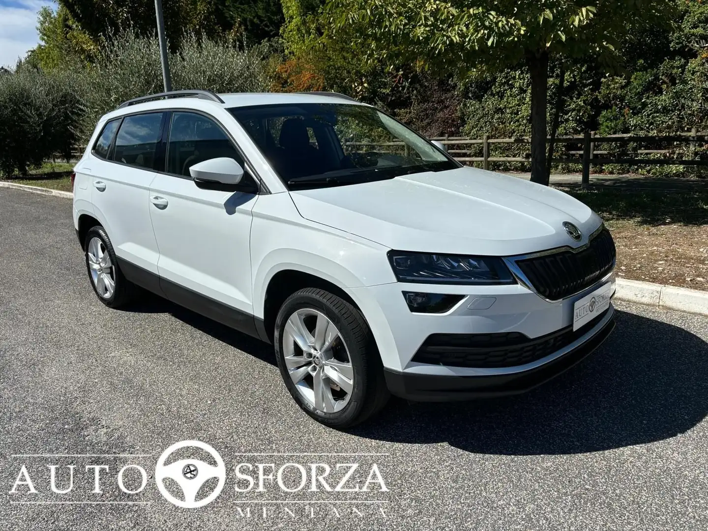 Skoda Karoq 1.6 TDI DSG 116 Cv Tagliandata Nazionale E6d Bianco - 1
