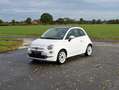 Fiat 500 1.0 Dolcevita Hybrid, WhiteWheels/CarPlay/Pano/NEW Bianco - thumbnail 5