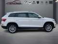 Skoda Kodiaq 2.0 TDI Style (EURO 6d) Blanc - thumbnail 5