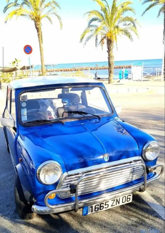 Rover Mini MINI 1994