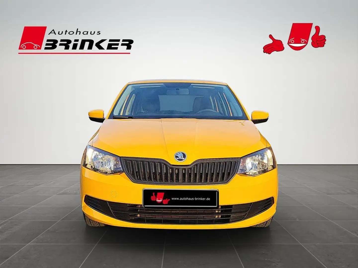 Skoda Fabia 1.0 MPI Cool Edition Bluetooth Klima Oranje - 2