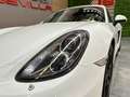 Porsche Cayman PDK Blanco - thumbnail 21