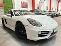 Porsche Cayman PDK Blanco - thumbnail 18