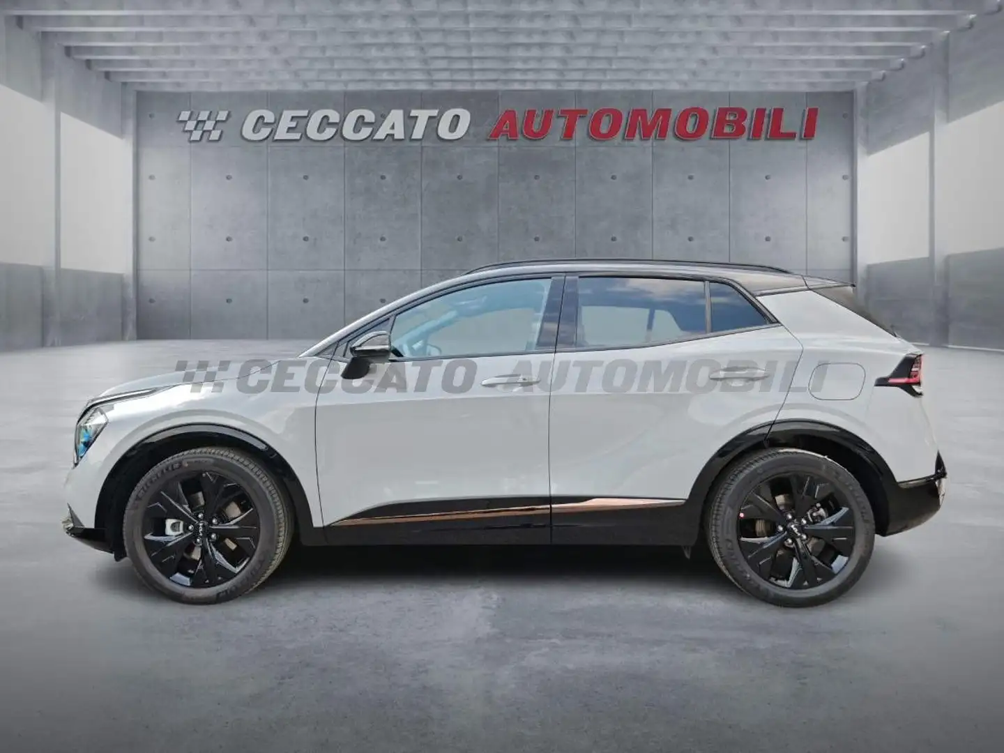 Kia Sportage Sportage 1.6 tgdi hev Special Edition auto Grigio - 2