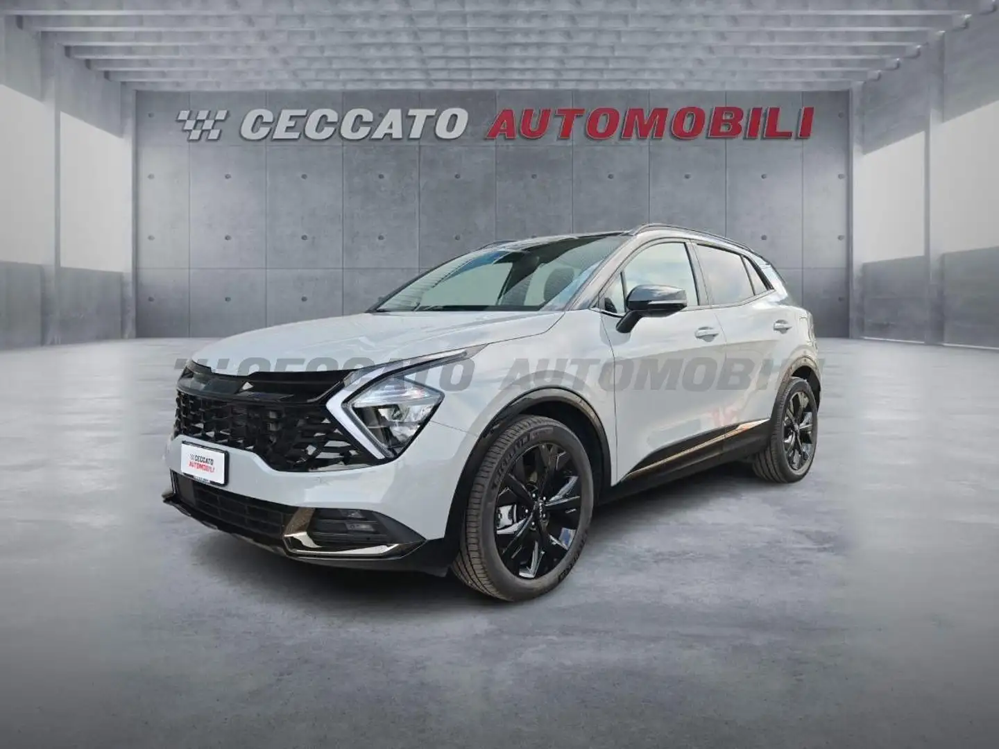 Kia Sportage Sportage 1.6 tgdi hev Special Edition auto Grigio - 1