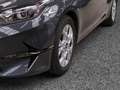 Kia Ceed / cee'd VISION 1.5 SITZHZG,NAVI,KAMERA,CARPLAY,DAB Gris - thumbnail 12