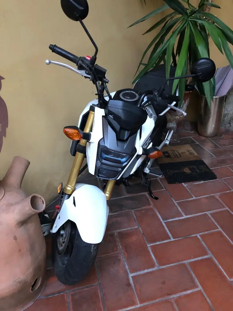 Honda MSX 125 Alb - 2