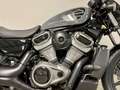 Harley-Davidson Sportster RH975 NIGHTSTER Grijs - thumbnail 2