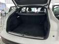 Audi QUATTRO S line 40 TDI 150kW quattroultra Blanco - thumbnail 11