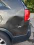Kia Sorento Sorento 2.0 CRDi 4WD Premium Brun - thumbnail 12