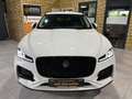 Jaguar F-Pace F-PACE SE AWD/D300/MEMORY/MASSAGE/APPLE/NAVI/KAM Weiß - thumbnail 2