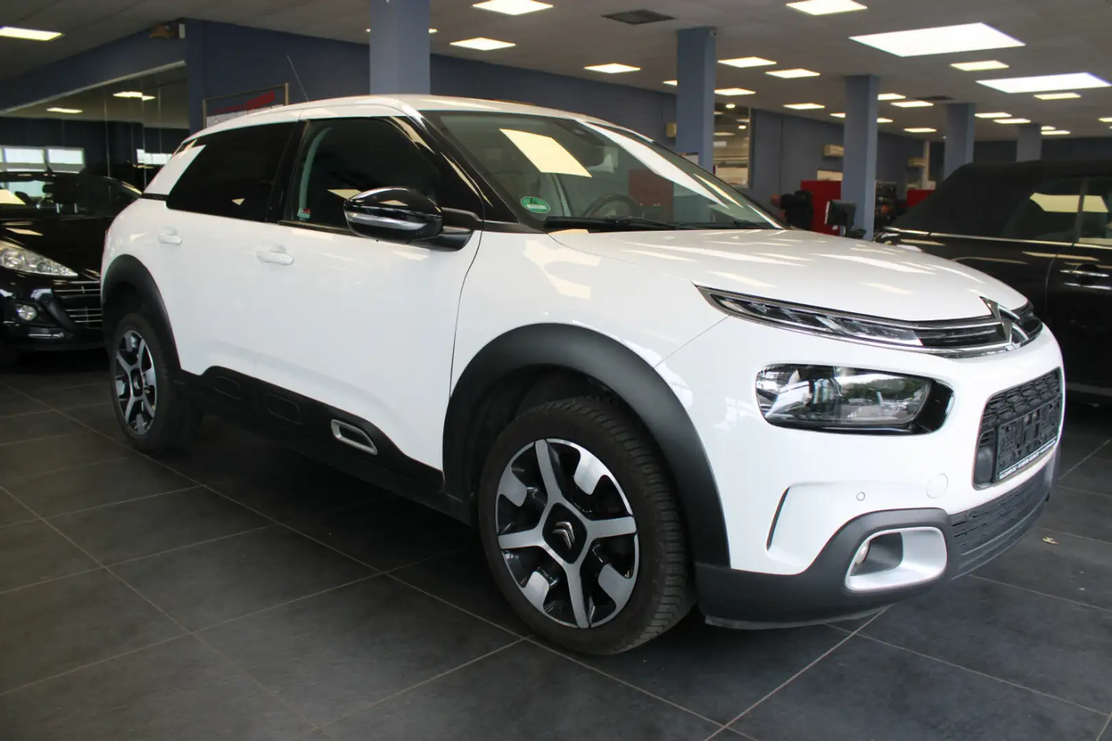 Citroen C4 Cactus PureTech Shine Weiß - 1