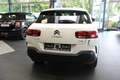 Citroen C4 Cactus PureTech Shine Weiß - thumbnail 5