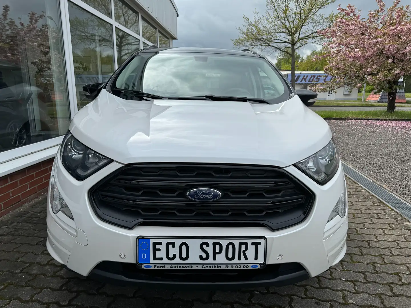 Ford EcoSport 1.0 EcoB. ST-LINE Xenon,Allwetter,AHK,18"Alu,Dach Weiß - 2