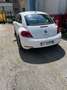 Volkswagen New Beetle 1.6 tdi 105cv - thumbnail 3